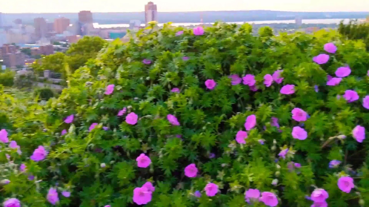 Sunset Views - YouTube