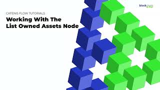 Working with the List Owned Assets Node in Run Time Mode