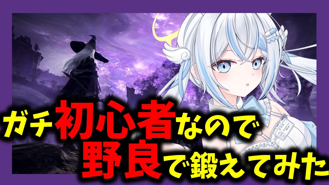 【ナイトレイン】ソロ攻略も出来ない初心者が、野良に紛れてみた結果www【 #新人Vtuber /#vtuber 】