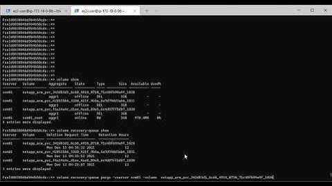 NetApp FSX for ONTAP 9.10 - Delete Volume Immediately