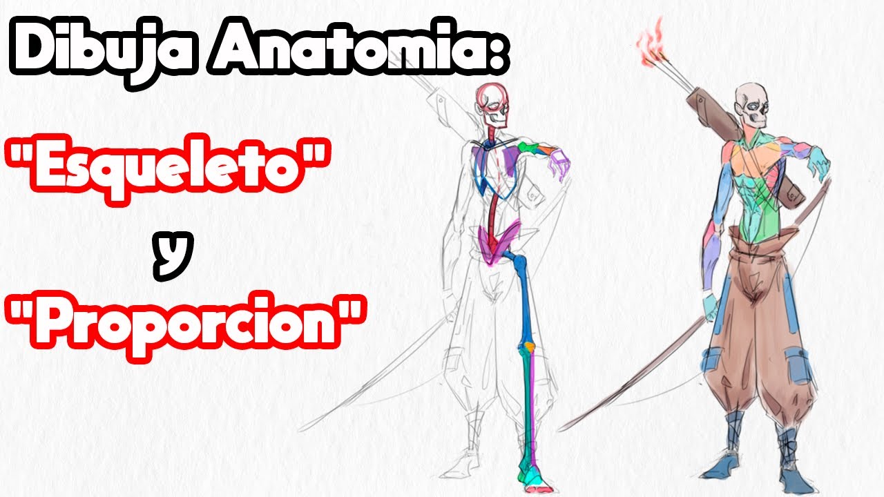 Como Dibujar la FIGURA HUMANA Parte 2 | Huesos y Proporciones | Anatomía
