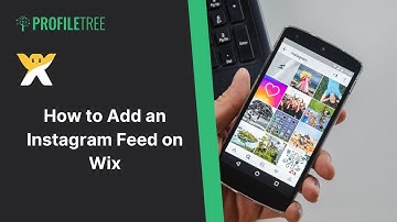 How to Add an Instagram Feed on Wix | Wix | Wix Website | Wix Tutorial