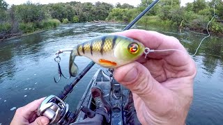 Explosive Action With The Whopper Plopper! by NDYakAngler 274,069 views 1 month ago 26 minutes