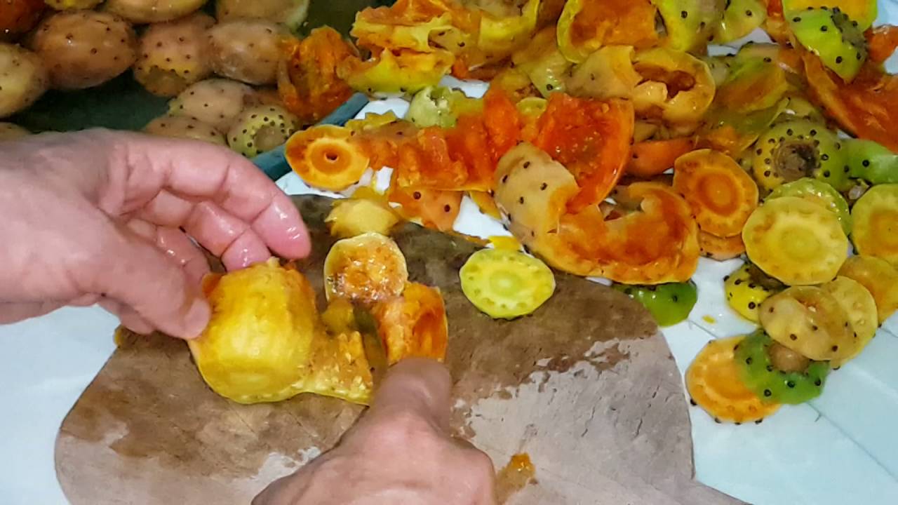 Papaya Nasıl Yenir Papaya Nasıl Yenir