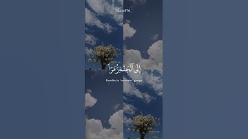 Surah Al-zumar🤍تلاوة_خاشعة #قرآن  #شريف_مصطفى #سورة_الزمر #اكسبلور#اللهم_صل_وسلم_على_نبينا_محمد
