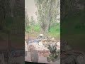 😂😂😂😂😂 #stalker #chernobyl #игры #сталкер #рекомендации #shorts