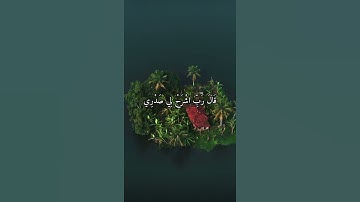 واتس اب قران كريم القارئ ياسر دوسري (سوره طه)