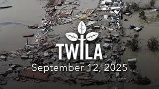 TWILA — Hurricanes Katrina and Rita 20 Years Later