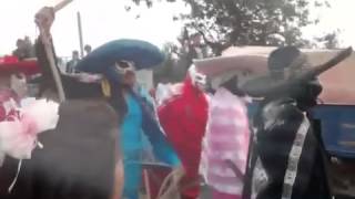Golpes grasejos lerdo 2015