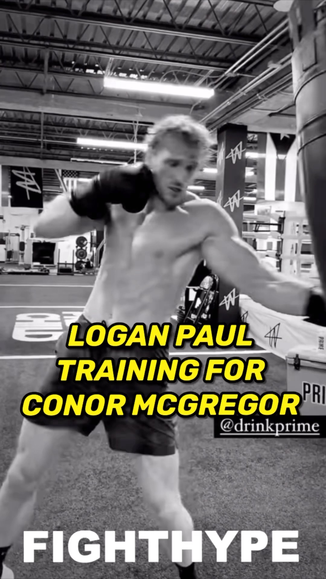 Logan Paul BEGINS TRAINING for Conor McGregor SHOWDOWN in India