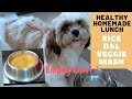 Rice-Dal-Veggie Mash | Easy Homemade Lunch | 5 Month Old Shih Tzu Puppy