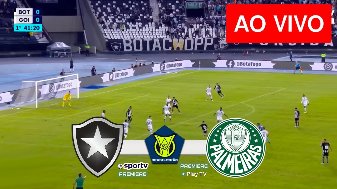 Botafogo x Palmeiras ao vivo: onde assistir ao jogo do Brasileirão online