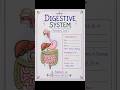 How to Draw & Label the Digestive System 🎨✨ | Anatomy Notes #shorts
