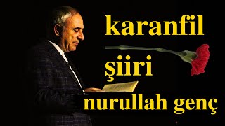 karanfil şiiri - nurullah genç Resimi