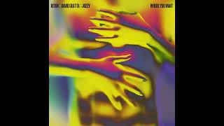 Riton, David Guetta, Jozzy - Where You Want (Instrumental)