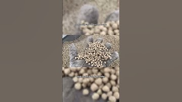 Floating Fish Feed Extruder Machine For Sale Model: LM-70  Capacity:180-200KGH