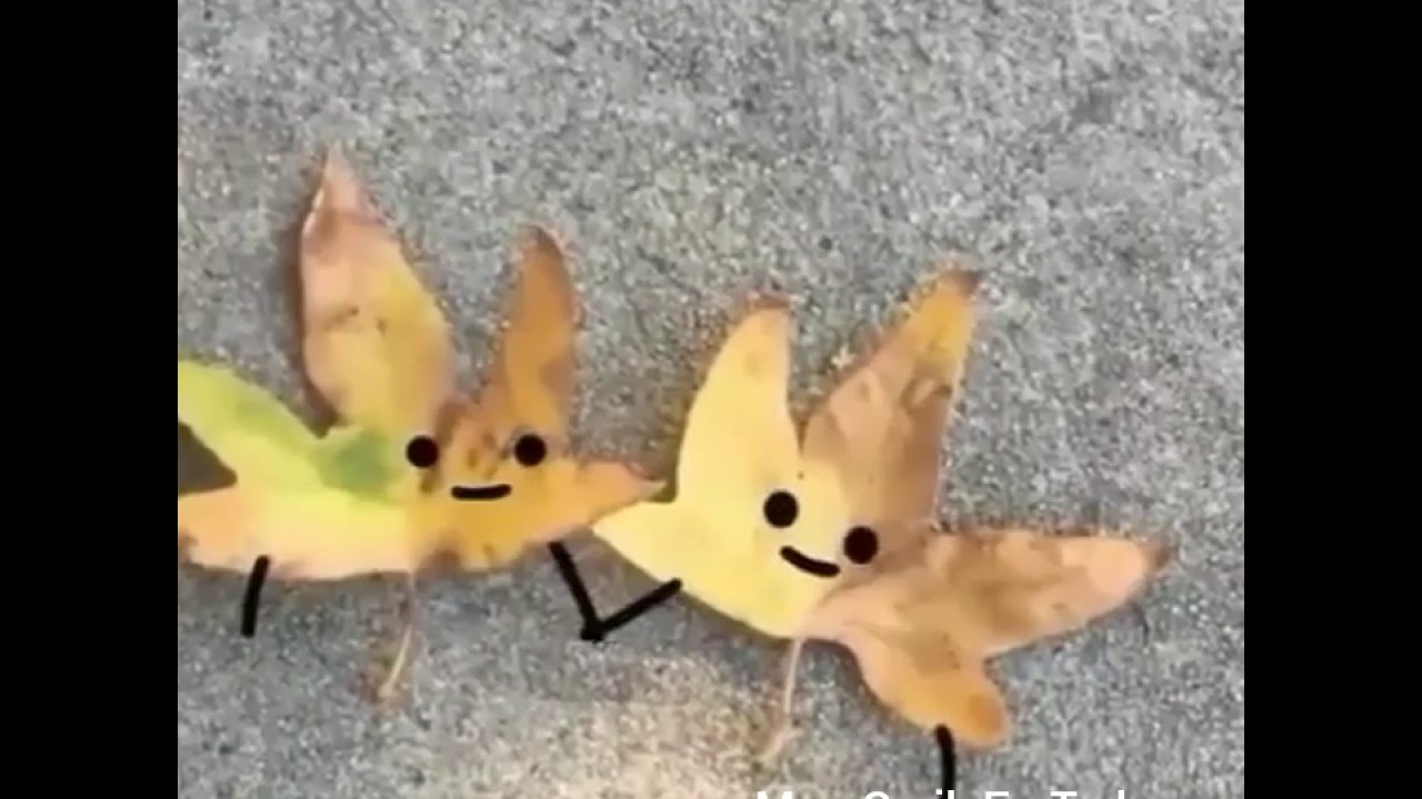 Animación de objetos. - YouTube