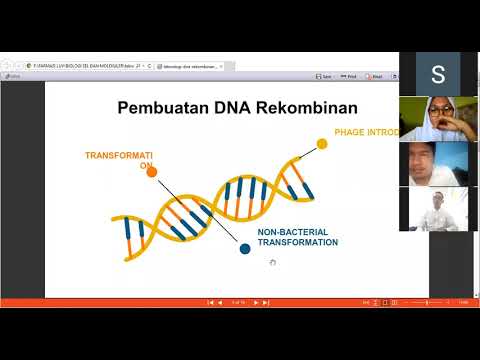 Video: Apa penerapan teknologi DNA rekombinan dalam kedokteran?
