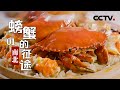 《螃蟹的征途》第一集 南北 | CCTV纪录