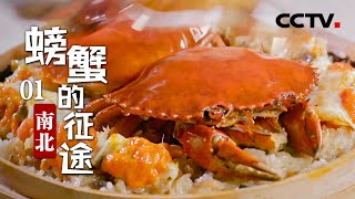 【ENG】《螃蟹的征途》第1集 一方水土养一方蟹！南北方在吃螃蟹上有什么不同？The Journey of Crabs【CCTV纪录】