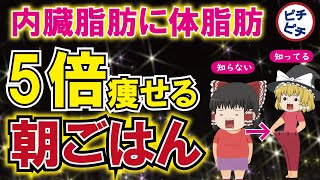 【朝ごはんで痩せる】朝食で5倍痩せる食べ物！内臓脂肪と体脂肪まで減るとんでもない朝ごはんとは【うわさのゆっくり解説】