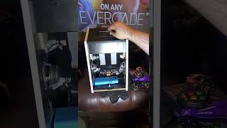Evercade Alpha Portable Mods