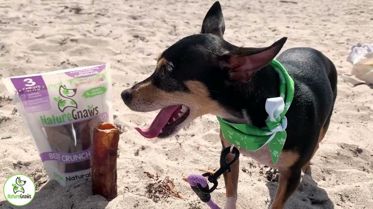 Nature Gnaws Natural Trachea Crunch Wrap Dog Chews