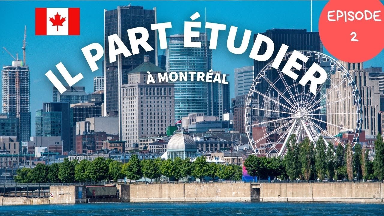 ON FAIT LES COURSES  ET ON AMÉNAGE LA CHAMBRE ( Etudiant français à Montréal )