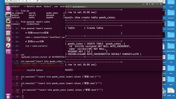 28 python操作sql：添加、修改、删除数据