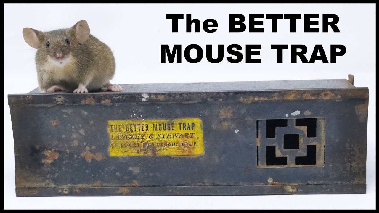 The Better Mouse Trap - Testing Out a Rare Antique Metal Mouse Trap.  Mousetrap Monday 