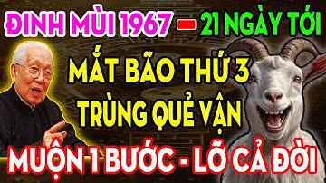 Chỉ Tôi Dám Nói: Đinh Mùi 1967 Có 3 Cơ Hội Chắc Chắn Thay Đổi Cả Cuộc Đời - Muộn 1 Bước Lỡ Cả 1 Đời