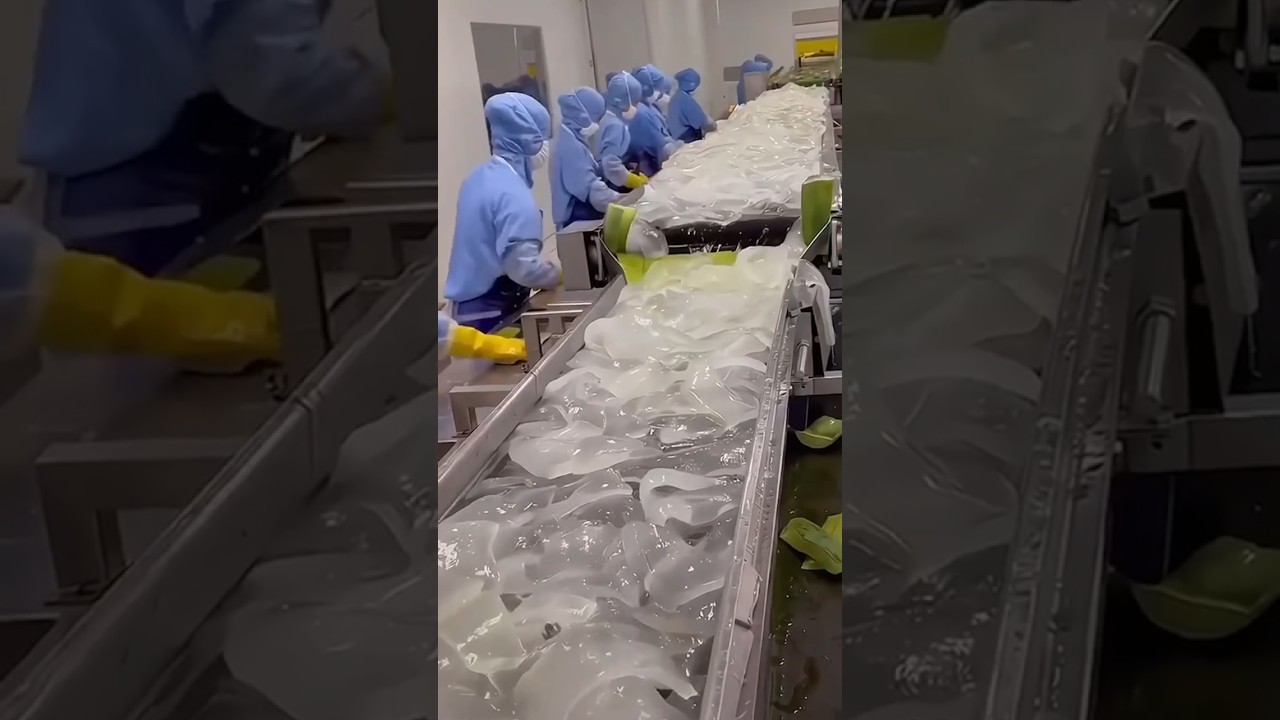 Japan aloe vera farming 😨 