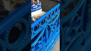 Пароходики и прогулки на них