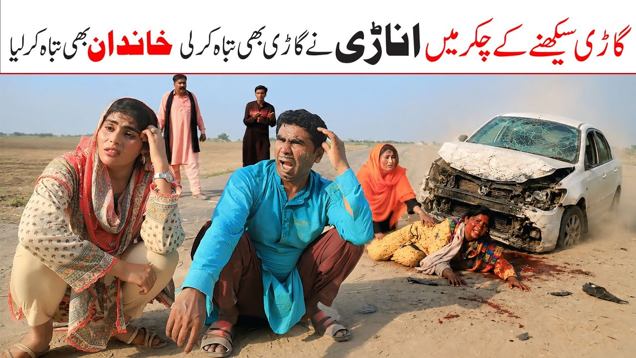 Reward | Ramzi,Noori, Bilo,Shoki, Sanam,Jannat,Falak Sher,Funny Video  Rachnavi Tv