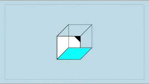 The Necker Cube
