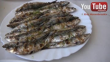 Moroccan sardines 1 euro