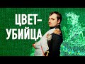 Наполеона убили зеленые обои? Правда и мифы о смерти Бонапарта