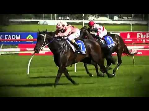 Black Caviar: All 25 Wins