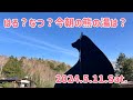 【🐻ラジM】はる？なつ？今朝の熊の湯は？2024.5.11.Sat.