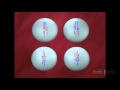 Meiosis (en español) | HHMI BioInteractive Video