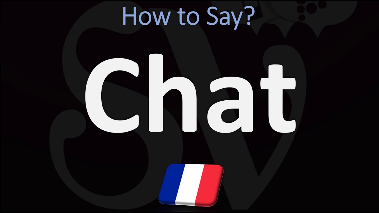 How To Say ‘Cat’ In French? | How To Pronounce Chat?