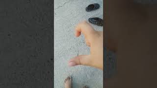 Yanlış Oldu Çekirdek Çok Pis Fikri Kereviz Lampet Okundu Insani Çocuk Çekirdekler