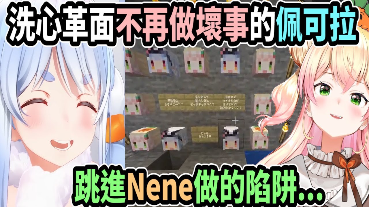 洗心革面決定不再做壞事的佩可拉..遇上Nene補兔陷阱時的應對【hololive中文】 【Vtuber精華】【兔田佩可拉】