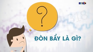 Đòn Bẩy Trong Forex Là Gì? 3 Phút Để Hiểu Rõ Về Nó | INVEST318 | LEVERAGE