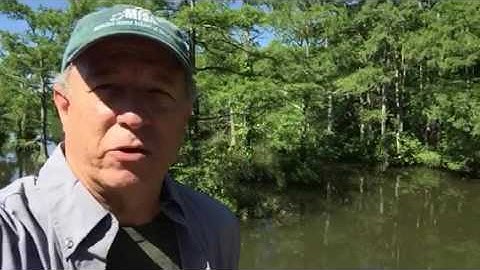 Marc Hanson 2016 WITWIPA Day 1 Video 3