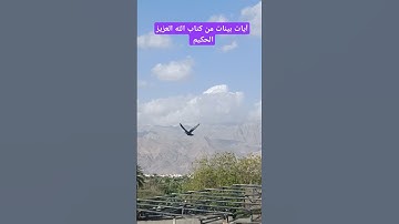 آيات بينات من كتاب الله العزيز الحكيم الغفور الرحيم #كن_مع_الله_ولا_تبالي #قران_كريم