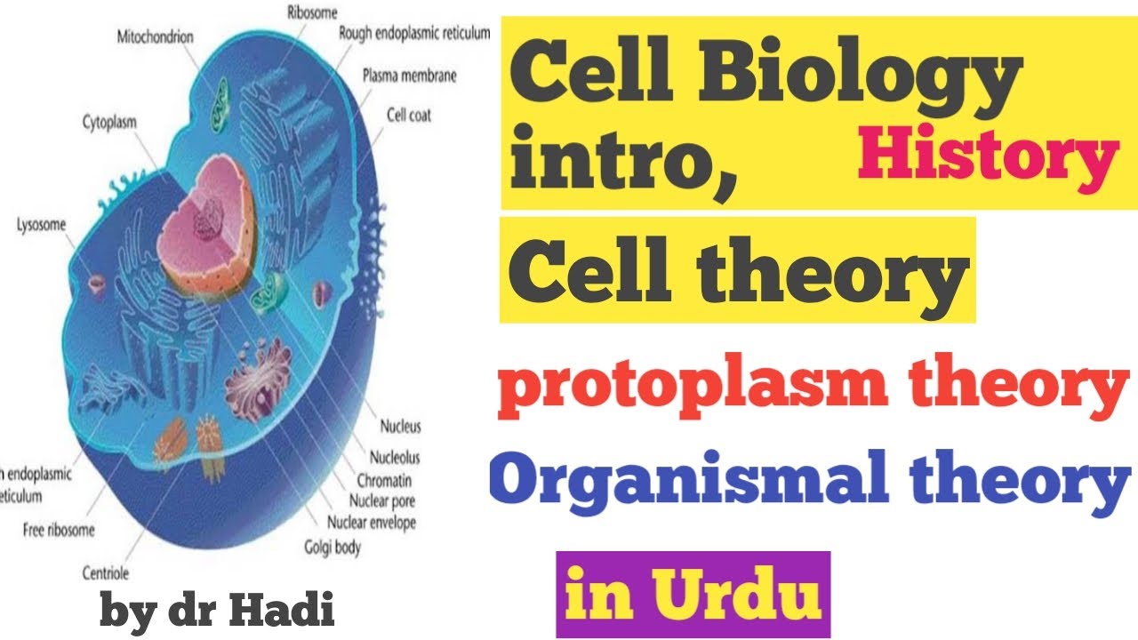 L1 Cell biology History, cell theory Lecture 1 IN URDU by Dr Hadi