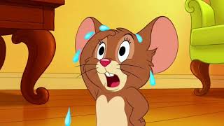 Tom and Jerry 🐱🐭 Crazy Chase with Spike & Funny Cats 😂 Kids Cartoon | Classic Toon Fights
