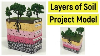 Layers of soil project model | Soil Layers model | What are the layers of Soil? | Best out of waste