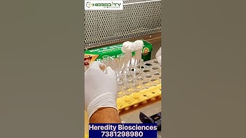 Serial Dilution Process  #microbiology